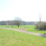 Dvur Dolenec Апартаменты