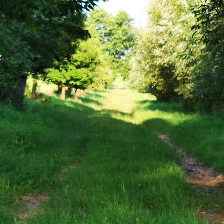 Dvur Dolenec Rohoznice (Hradec Kralove)