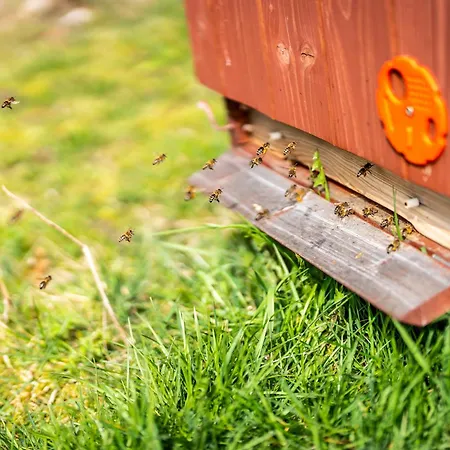 Dvur Dolenec * Rohoznice (Hradec Kralove)