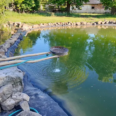 Dvur Dolenec * Rohoznice (Hradec Kralove)