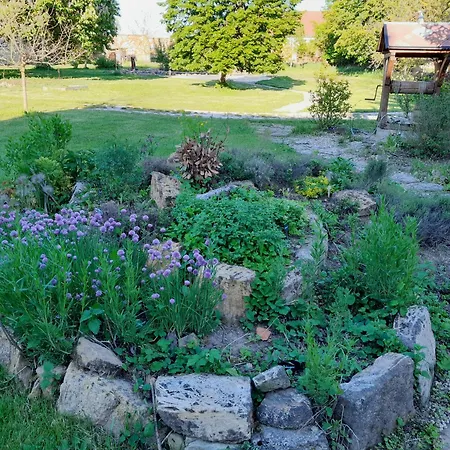 Dvur Dolenec Rohoznice (Hradec Kralove)