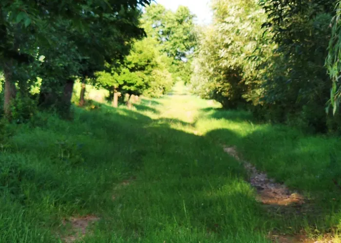 Dvur Dolenec Rohoznice (Hradec Kralove)