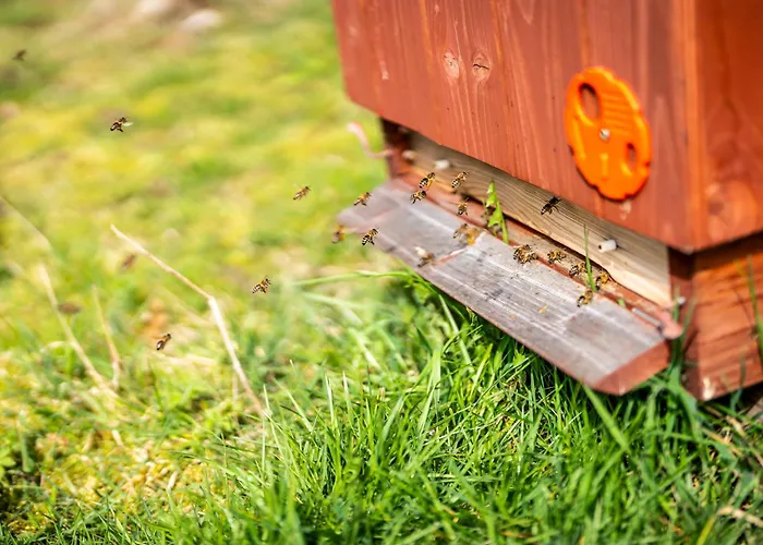 Dvur Dolenec * Rohoznice (Hradec Kralove)